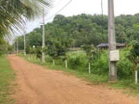  Agricultural Land for Sale in Kothavalasa, Vizianagaram