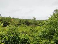  Residential Plot for Sale in Chorao, North Goa, 