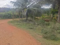  Agricultural Land for Sale in Mysore Road, Bangalore