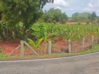  Agricultural Land for Sale in 1st Block Rajajinagar, Bangalore