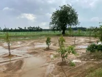  Agricultural Land for Sale in Madurantakam, Kanchipuram