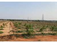  Agricultural Land for Sale in Mahabubnagar, Hyderabad