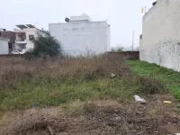  Residential Plot for Sale in Patti, Tarn Taran