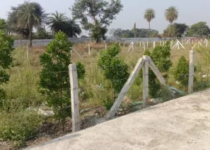 5000 Sq.ft. Residential Plot for Sale in Karond, Bhopal