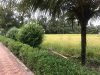  Agricultural Land for Sale in Western Express Highway, Andheri East, Mumbai