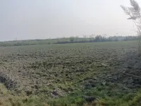  Agricultural Land for Sale in Chandigarh Delhi Highway