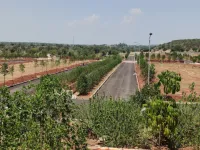  Agricultural Land for Sale in Kondapur, Hyderabad