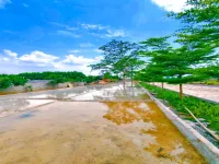 Residential Plot for Sale in Masturi, Bilaspur