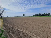  Residential Plot for Sale in Jalandhar Bypass, Ludhiana