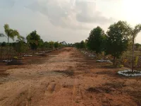  Agricultural Land for Sale in Tiruttani, Thiruvallur