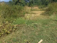  Residential Plot for Sale in Palampur, Kangra