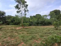  Agricultural Land for Sale in Andimadam, Ariyalur