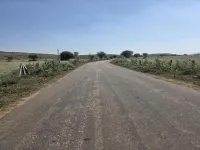 Agricultural Land for Sale in Naugaon, Alwar