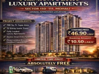 1 BHK Flat for Sale in Sector 110 Mohali