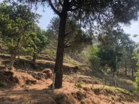  Agricultural Land for Sale in Morni Hills, Panchkula