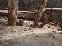 Commercial Shop for Sale in Mira Road East, Mumbai