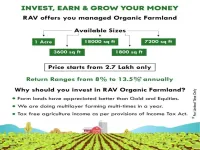  Agricultural Land for Sale in Naimisharanya, Sitapur