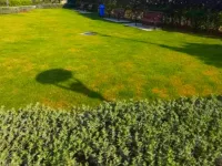  Residential Plot for Sale in Sector 83 Faridabad