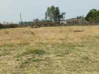 Residential Plot for Sale in Sitapur Road, Lucknow