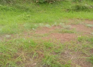 Commercial Land for Sale in Kumhrava, Lucknow