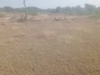  Agricultural Land for Sale in Madhugiri, Tumkur