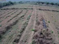  Agricultural Land for Sale in Tiruttani, Thiruvallur