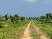  Agricultural Land for Sale in Venkatapuram, Eluru