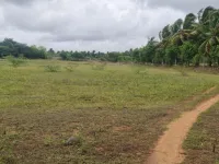  Agricultural Land for Sale in Gopalapuram, Chennai