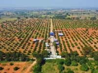  Agricultural Land for Sale in Shadnagar, Hyderabad
