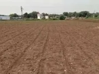  Agricultural Land for Sale in Bethamcheria, Kurnool