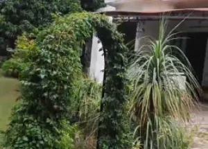 4 BHK Farm House for Sale in Sainik Farms, Delhi