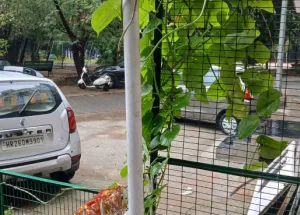 3 BHK 150 Sq. Yards Apartment for Rent in Vasant Vihar, Delhi