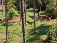  Agricultural Land for Sale in Agali, Palakkad