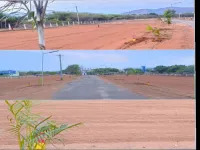  Residential Plot for Sale in Thanakkankulam, Madurai