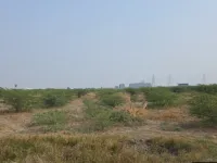  Industrial Land for Sale in Dholera, Ahmedabad