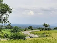 Agricultural Land for Sale in Koratagere, Tumkur