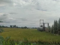  Agricultural Land for Sale in Ramnagar, Nainital