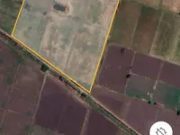  Agricultural Land for Sale in Narasaraopet, Guntur