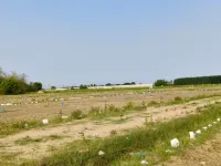  Residential Plot for Sale in Ikkadu, Thiruvallur