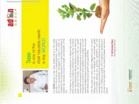 Agricultural Land for Sale in Anakapalle, Visakhapatnam