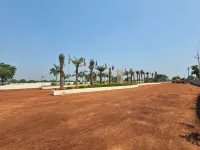  Residential Plot for Sale in Old Dhamtari Road, Raipur