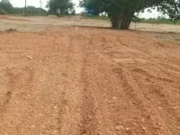  Agricultural Land for Sale in Peddakothapally, Mahabubnagar, Hyderabad