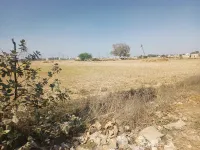  Agricultural Land for Sale in Farrukhnagar, Gurgaon