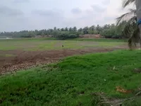  Agricultural Land for Sale in Narsapur, West Godavari