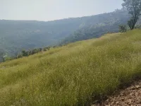  Residential Plot for Sale in Jawali, Mahabaleshwar