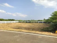 Residential Plot for Sale in Adavathur East, Tiruchirappalli