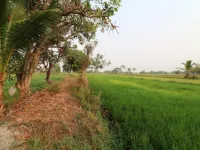 Residential Plot for Sale in Gharghoda, Raigarh