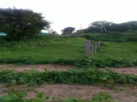 Agricultural Land for Sale in Gubbi, Tumkur