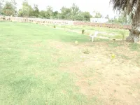  Residential Plot for Sale in Sohna, Gurgaon