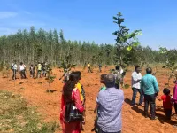  Agricultural Land for Sale in Manapparai, Tiruchirappalli